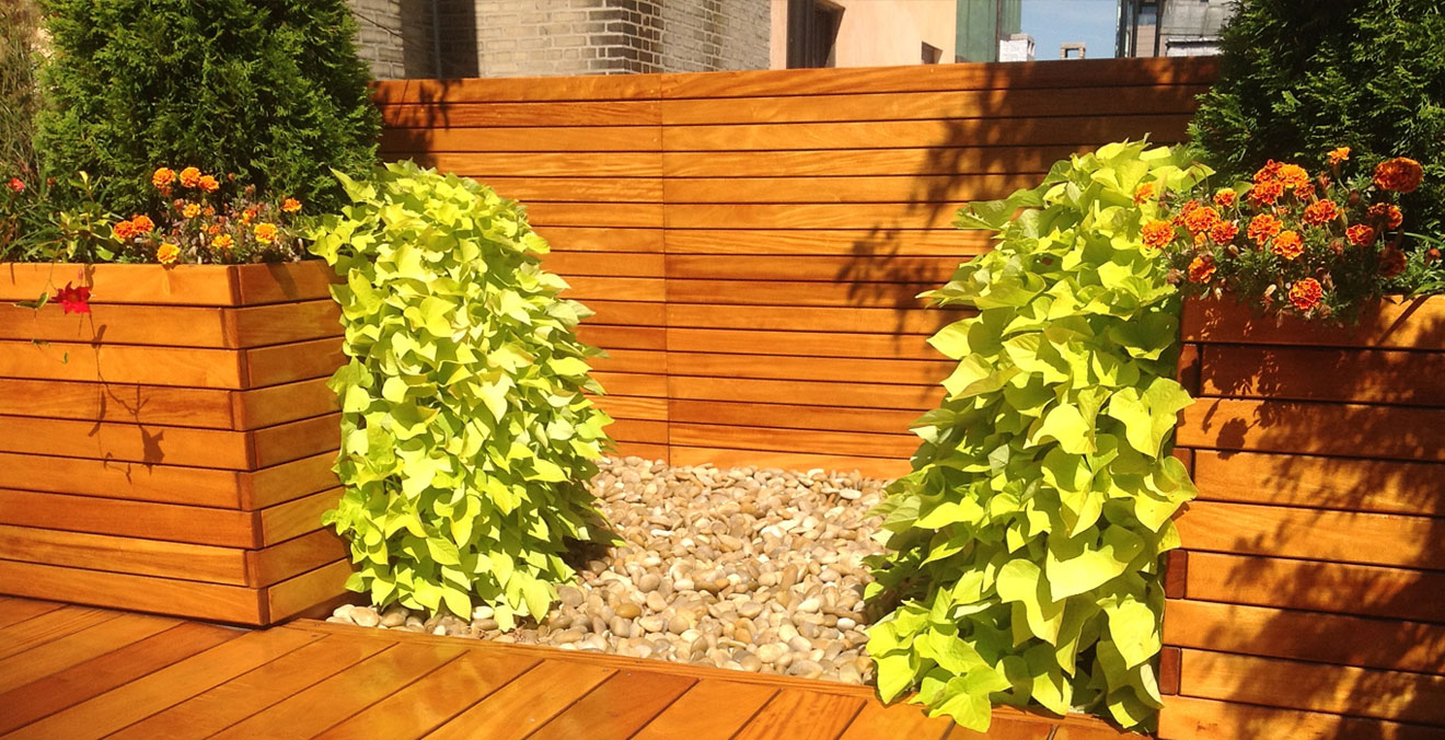 Yoga Roof Terrace Design Yoga Roof Terrace