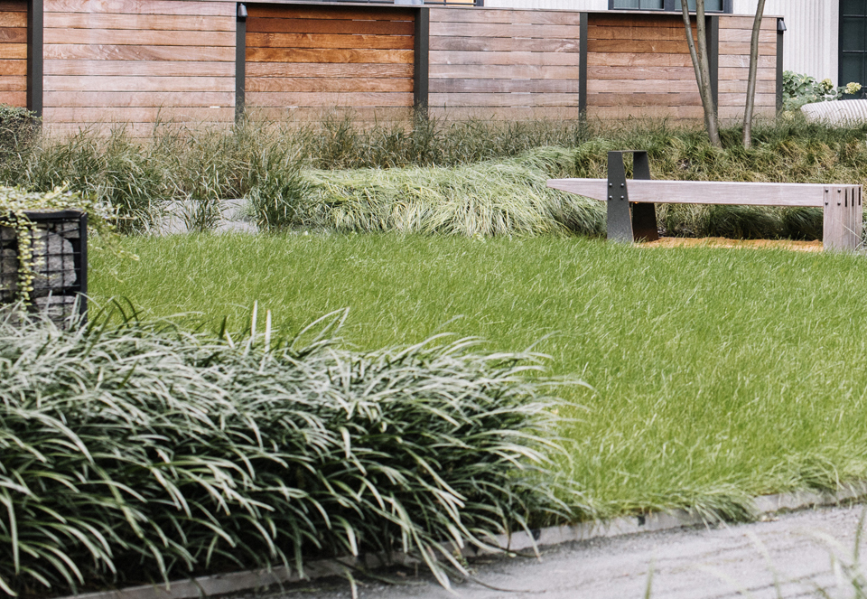 Extensive Green Roof Extensive Green Roof