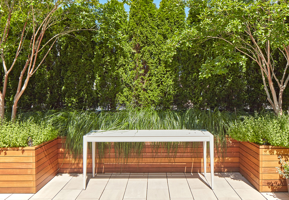 Roof Garden Roof Garden